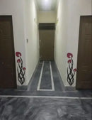 Corridor with floral designs on the walls and floor.