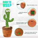 Dancing Talking Cactus Toy by Ezee Mall